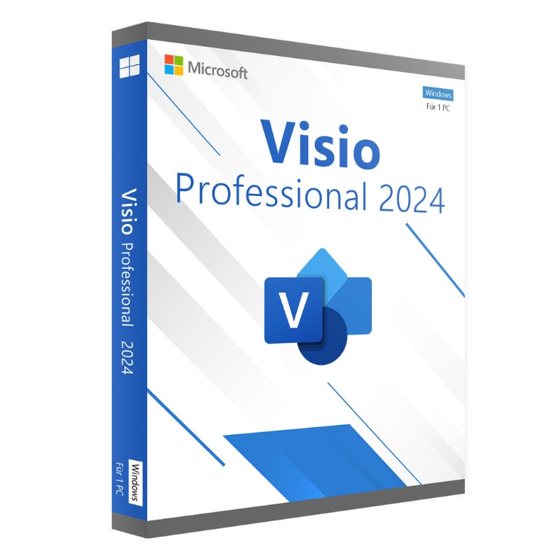 Vision Professional 2024